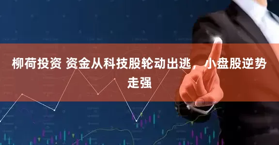 柳荷投资 资金从科技股轮动出逃，小盘股逆势走强